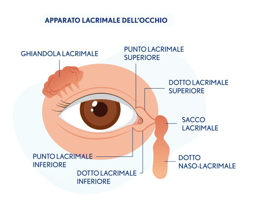 Occhio secco